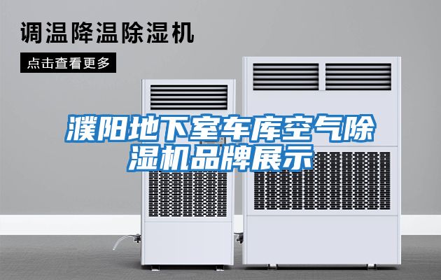 濮陽(yáng)地下室車(chē)庫空氣除濕機品牌展示