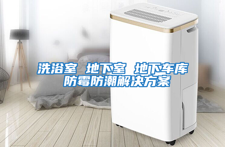 洗浴室 地下室 地下車(chē)庫 防霉防潮解決方案