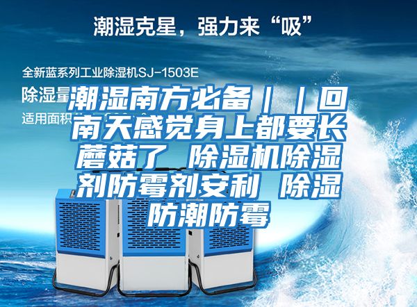 潮濕南方必備｜｜回南天感覺(jué)身上都要長(cháng)蘑菇了 除濕機除濕劑防霉劑安利 除濕防潮防霉