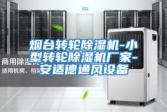 煙臺轉輪除濕機-小型轉輪除濕機廠(chǎng)家-安適德通風(fēng)設備