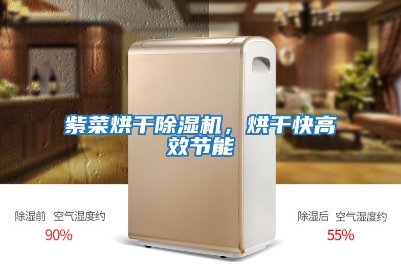 紫菜烘干除濕機，烘干快高效節能
