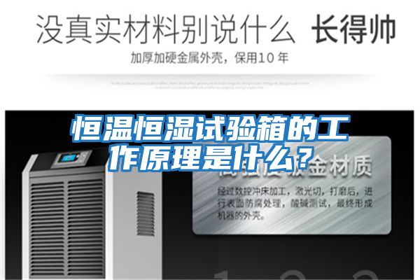 恒溫恒濕試驗箱的工作原理是什么？