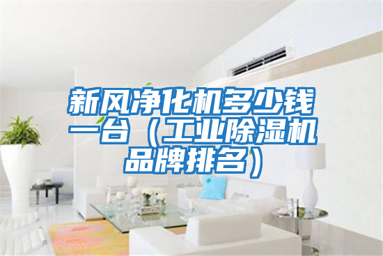 新風(fēng)凈化機多少錢(qián)一臺（工業(yè)除濕機品牌排名）