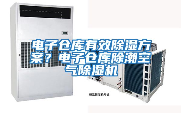 電子倉庫有效除濕方案？電子倉庫除潮空氣除濕機