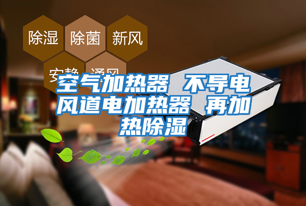 空氣加熱器 不導電風(fēng)道電加熱器 再加熱除濕