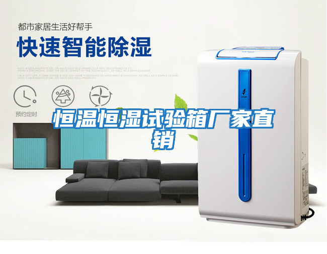 恒溫恒濕試驗箱廠(chǎng)家直銷(xiāo)