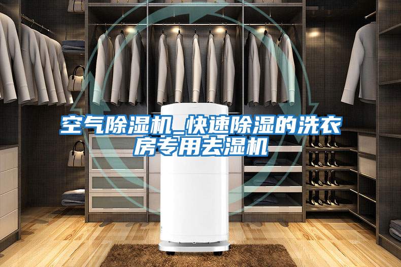 空氣除濕機_快速除濕的洗衣房專(zhuān)用去濕機