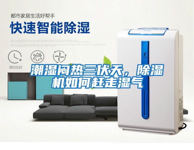 潮濕悶熱三伏天，除濕機如何趕走濕氣