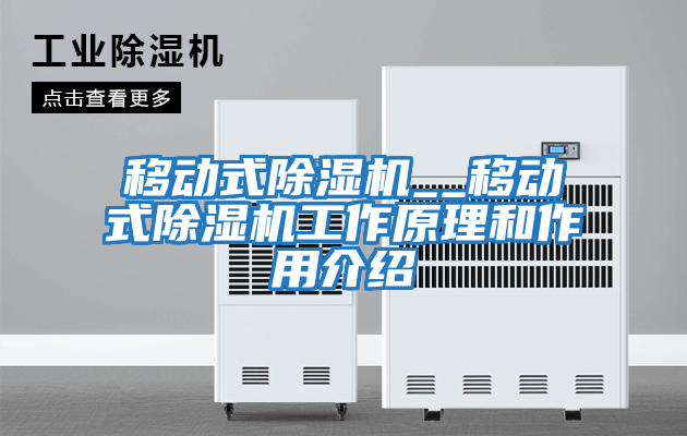 移動(dòng)式除濕機__移動(dòng)式除濕機工作原理和作用介紹