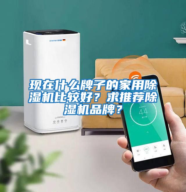 現在什么牌子的家用除濕機比較好？求推薦除濕機品牌？