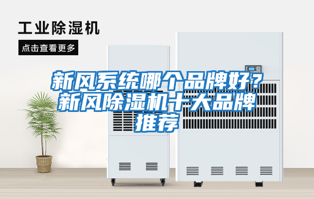 新風(fēng)系統哪個(gè)品牌好？新風(fēng)除濕機十大品牌推薦