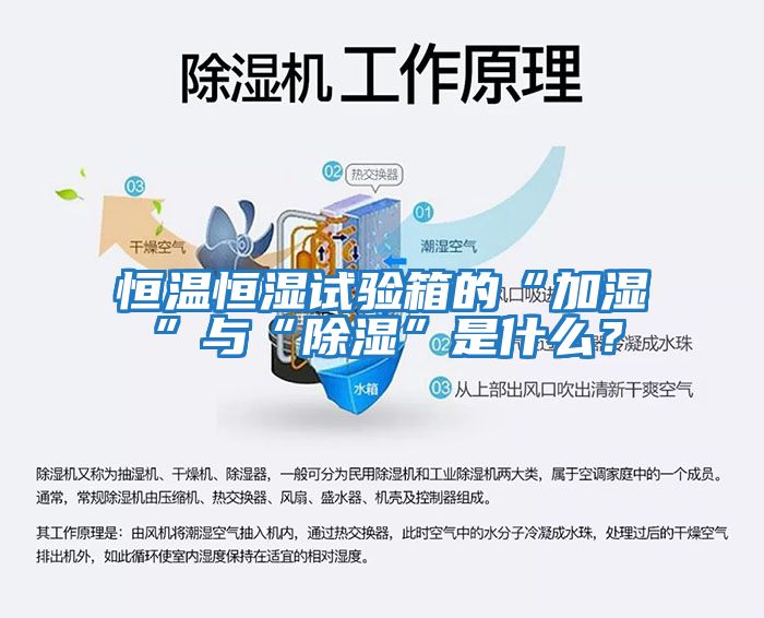 恒溫恒濕試驗箱的“加濕”與“除濕”是什么？