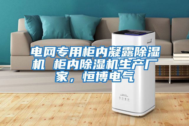 電網(wǎng)專(zhuān)用柜內凝露除濕機 柜內除濕機生產(chǎn)廠(chǎng)家，恒博電氣