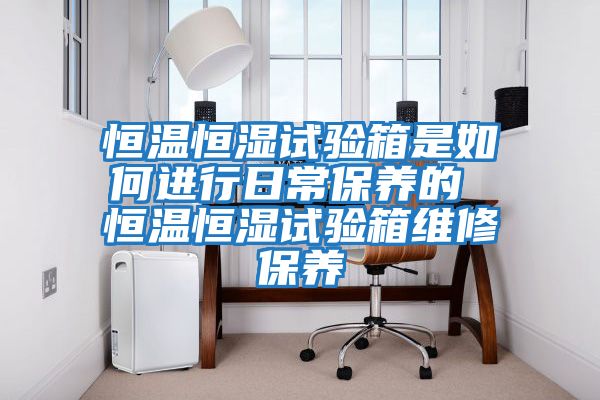恒溫恒濕試驗箱是如何進(jìn)行日常保養的 恒溫恒濕試驗箱維修保養