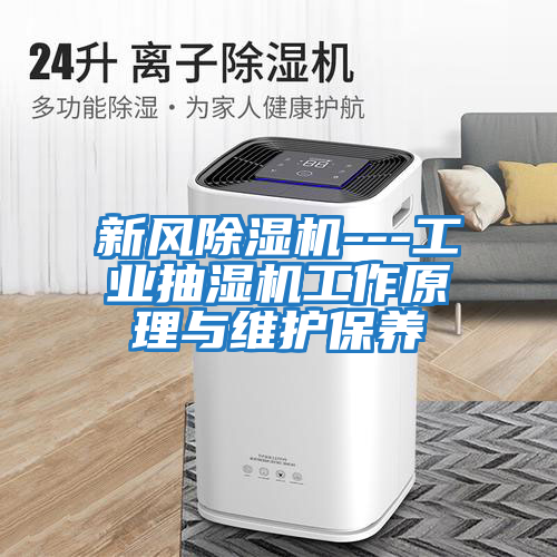 新風(fēng)除濕機---工業(yè)抽濕機工作原理與維護保養