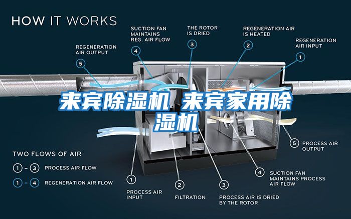 來(lái)賓除濕機◆來(lái)賓家用除濕機