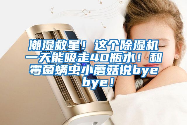 潮濕救星！這個(gè)除濕機一天能吸走40瓶水！和霉菌螨蟲(chóng)小蘑菇說(shuō)bye bye！