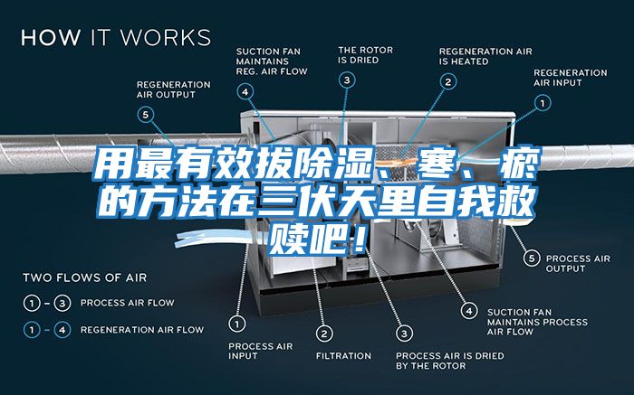 用最有效拔除濕、寒、瘀的方法在三伏天里自我救贖吧！