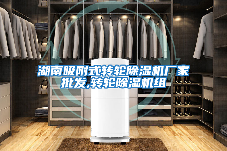 湖南吸附式轉輪除濕機廠(chǎng)家批發(fā),轉輪除濕機組