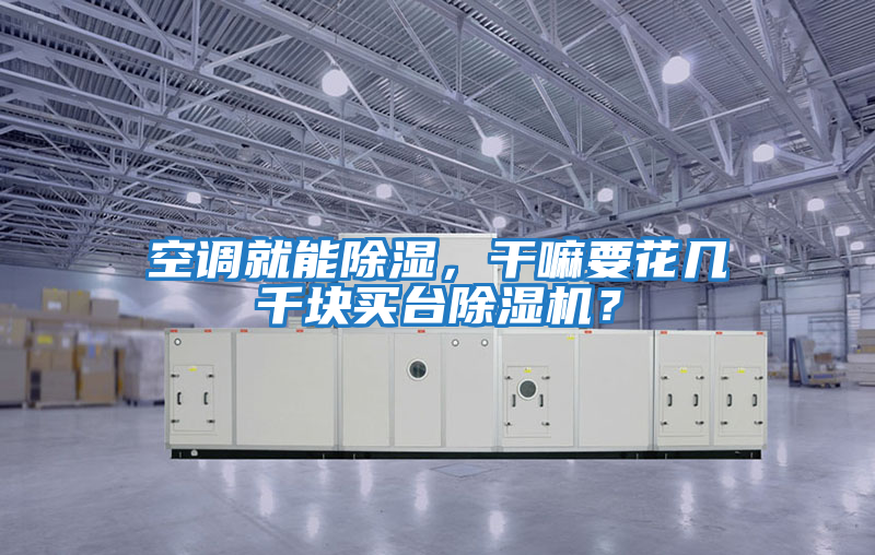 空調就能除濕，干嘛要花幾千塊買(mǎi)臺除濕機？