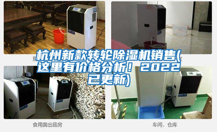 杭州新款轉輪除濕機銷(xiāo)售(這里有價(jià)格分析！2022已更新)
