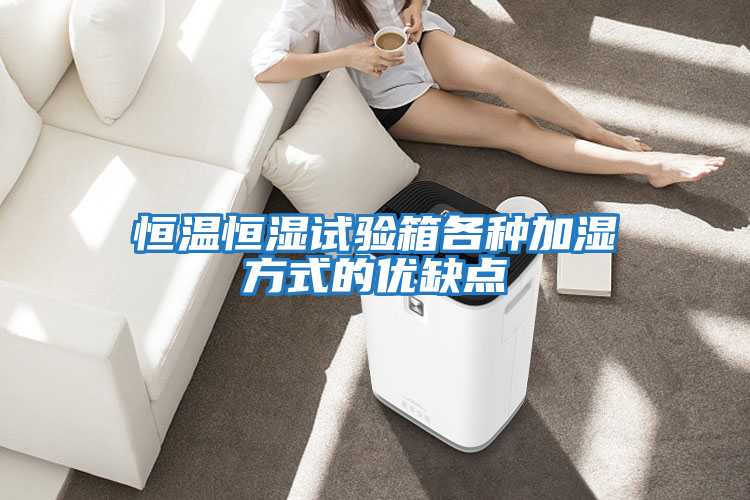 恒溫恒濕試驗箱各種加濕方式的優(yōu)缺點(diǎn)