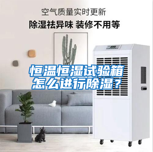 恒溫恒濕試驗箱怎么進(jìn)行除濕？