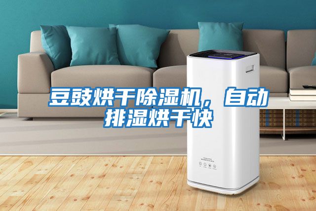 豆豉烘干除濕機，自動(dòng)排濕烘干快