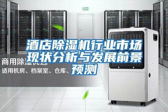 酒店除濕機行業(yè)市場(chǎng)現狀分析與發(fā)展前景預測