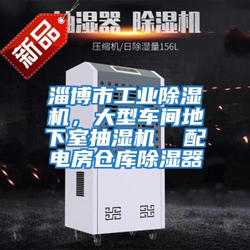 淄博市工業(yè)除濕機，大型車(chē)間地下室抽濕機  配電房倉庫除濕器
