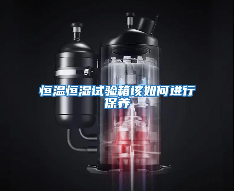 恒溫恒濕試驗箱該如何進(jìn)行保養