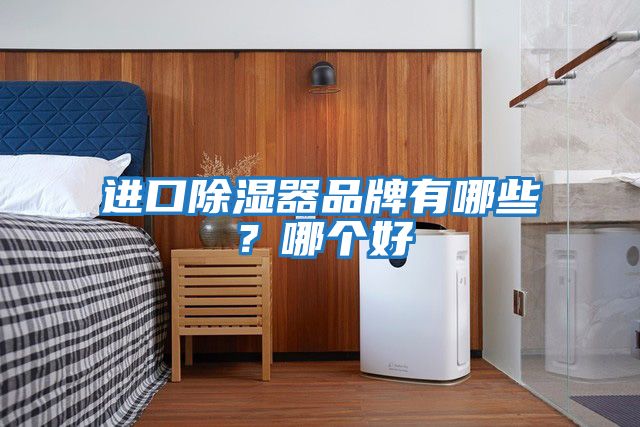 進(jìn)口除濕器品牌有哪些？哪個(gè)好