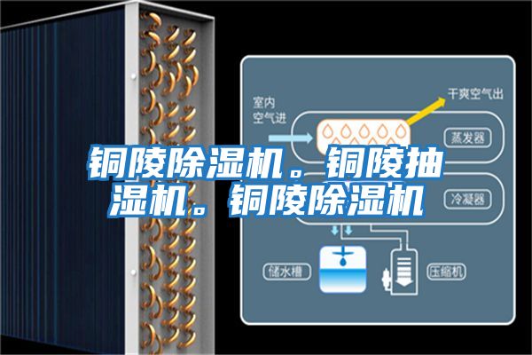 銅陵除濕機。銅陵抽濕機。銅陵除濕機