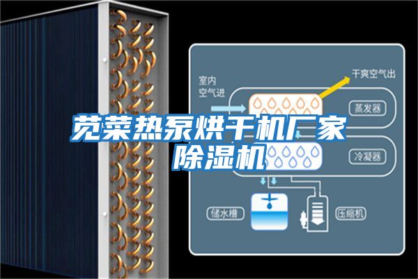 莧菜熱泵烘干機廠(chǎng)家 除濕機