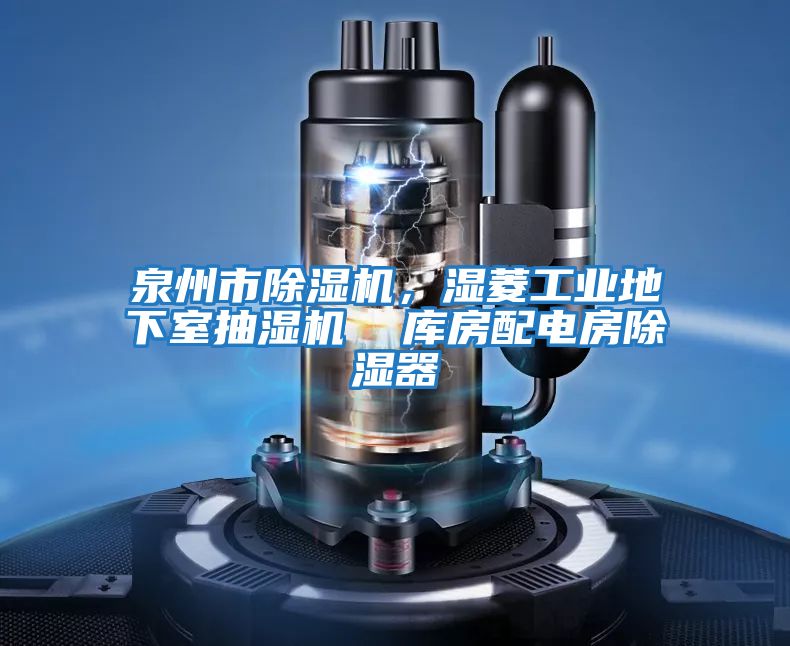 泉州市除濕機，濕菱工業(yè)地下室抽濕機  庫房配電房除濕器