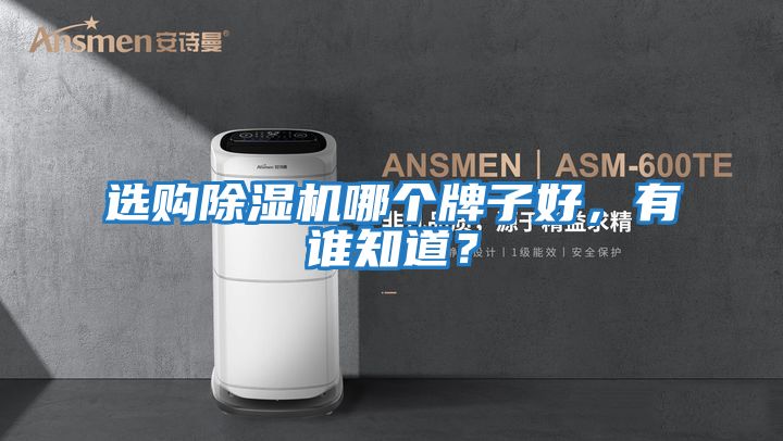 選購除濕機哪個(gè)牌子好，有誰(shuí)知道？