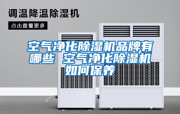 空氣凈化除濕機品牌有哪些 空氣凈化除濕機如何保養