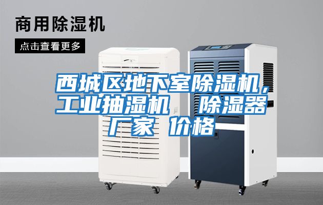 西城區地下室除濕機，工業(yè)抽濕機  除濕器廠(chǎng)家 價(jià)格