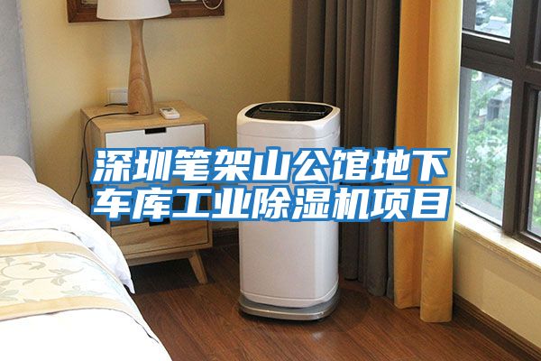 深圳筆架山公館地下車(chē)庫工業(yè)除濕機項目
