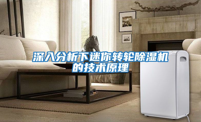 深入分析下迷你轉輪除濕機的技術(shù)原理