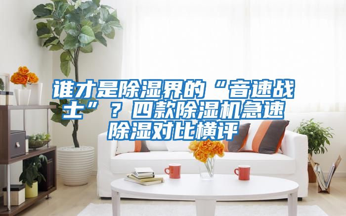 誰(shuí)才是除濕界的“音速戰士”？四款除濕機急速除濕對比橫評