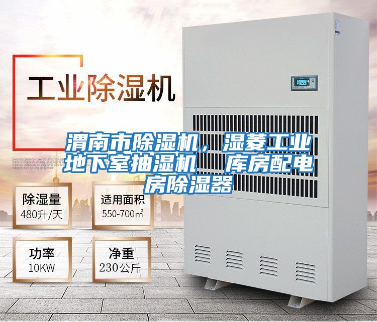 渭南市除濕機，濕菱工業(yè)地下室抽濕機  庫房配電房除濕器