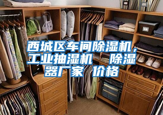 西城區車(chē)間除濕機，工業(yè)抽濕機  除濕器廠(chǎng)家 價(jià)格