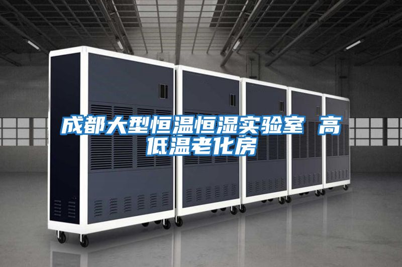 成都大型恒溫恒濕實(shí)驗室 高低溫老化房