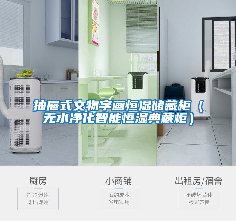 抽屜式文物字畫(huà)恒濕儲藏柜（無(wú)水凈化智能恒濕典藏柜）