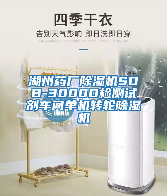 湖州藥廠(chǎng)除濕機SDB-3000D檢測試劑車(chē)間單機轉輪除濕機