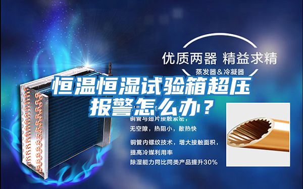 恒溫恒濕試驗箱超壓報警怎么辦？