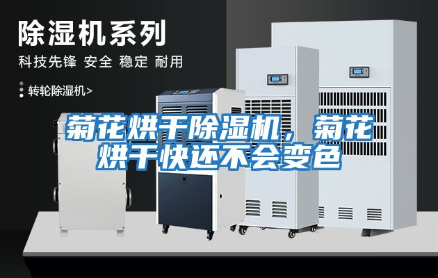 菊花烘干除濕機，菊花烘干快還不會(huì )變色
