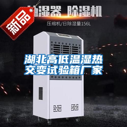 湖北高低溫濕熱交變試驗箱廠(chǎng)家