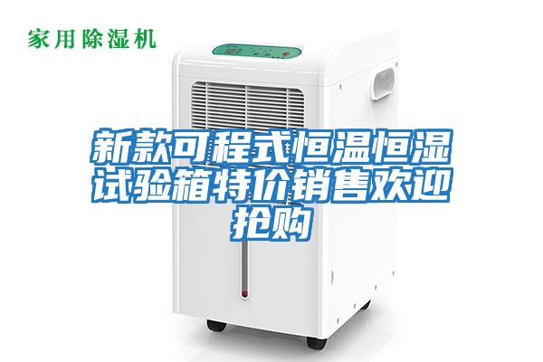 新款可程式恒溫恒濕試驗箱特價(jià)銷(xiāo)售歡迎搶購